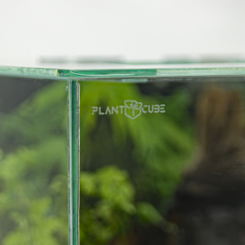 Preview: PLANTCUBE - Vivarium 60x30x30 Panorama